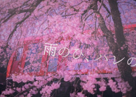 大橋史明氏　箱根登山電車アレグラ号１０周年記念写真集『雨のひ、ハレのひ』