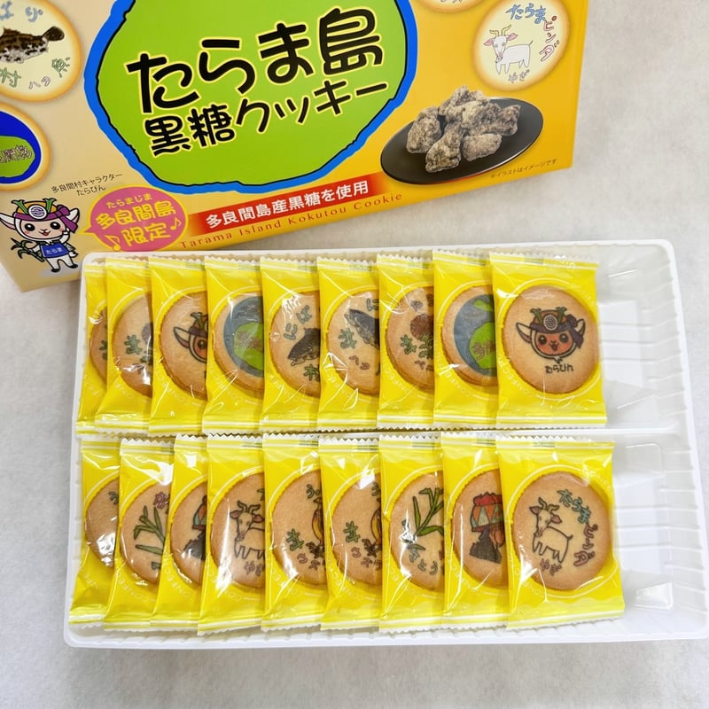 環境センサー　センスマザースターターパック 4モーションクッキーセット その他