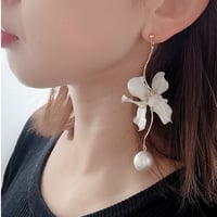 𝒩𝑜.77【数量限定】