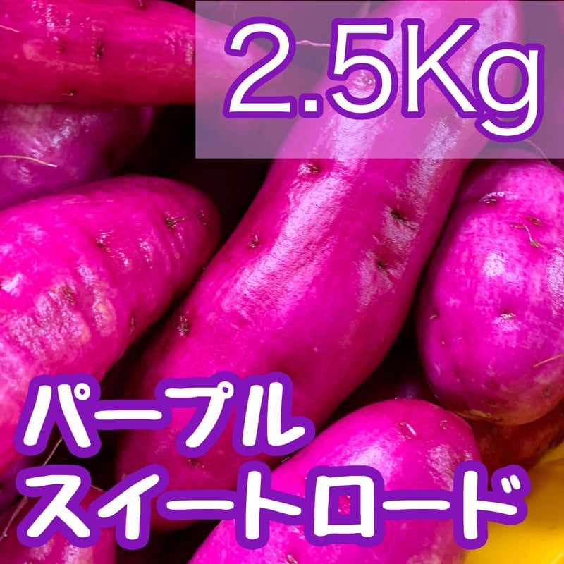 パープルスイート紫芋苗300本セール パープルスイート紫芋苗300本セール パープルスイート紫芋苗300