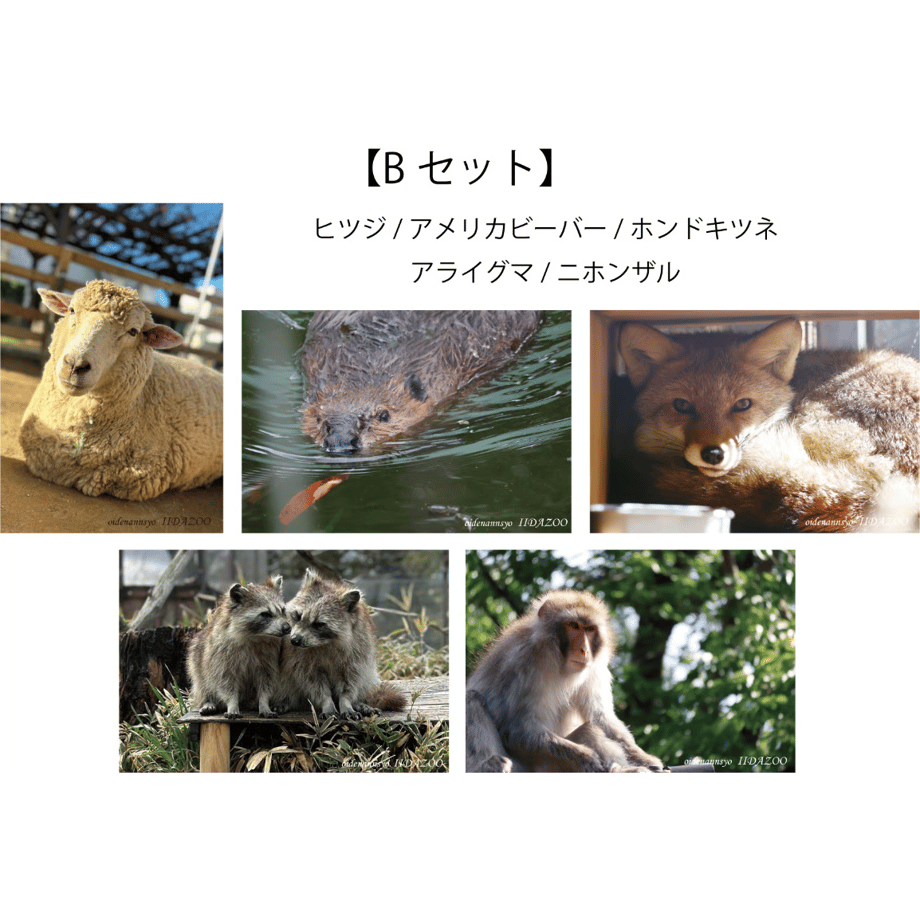 6901e0830b01f577d141a3a1