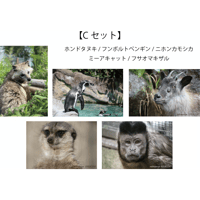 おいでなんしょポストカード 【 Cセット 】