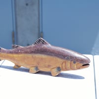 60s Salmon