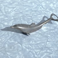 Dolphin bottle opener