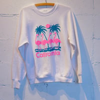 Carifornia flamingos
