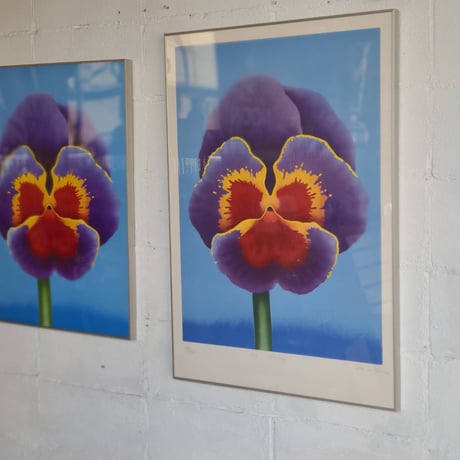 70s Pansy silkscreen