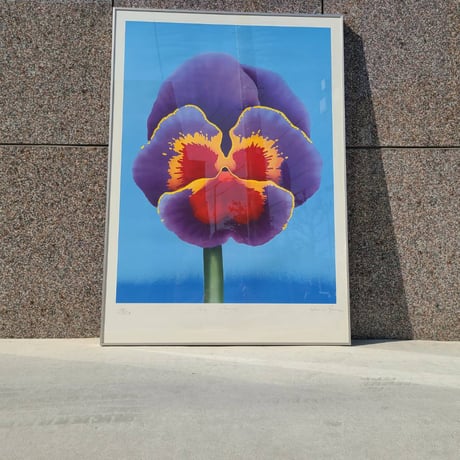 70s Pansy silkscreen
