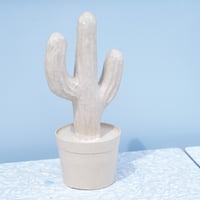 Paper Cactus