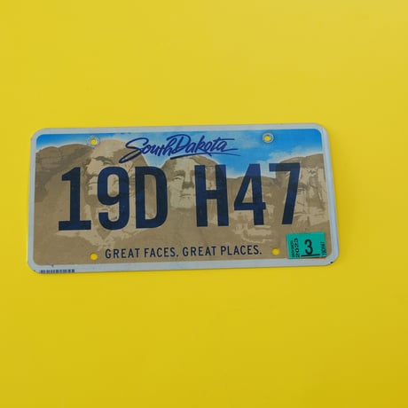 South Dakota License plate