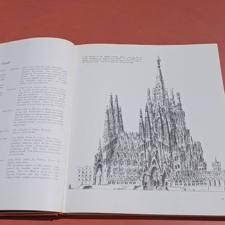 GAUDI THE VISIONARY