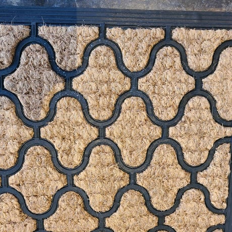 Entrance rug  wave