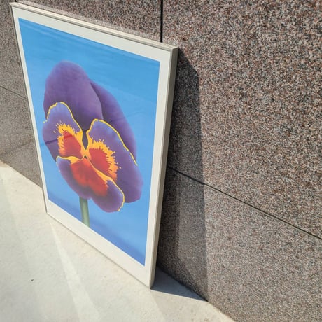 70s Pansy silkscreen