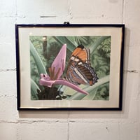 70s “Mariposa” silkscreen