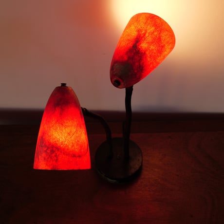 50sRed Fiber glass lamp  2