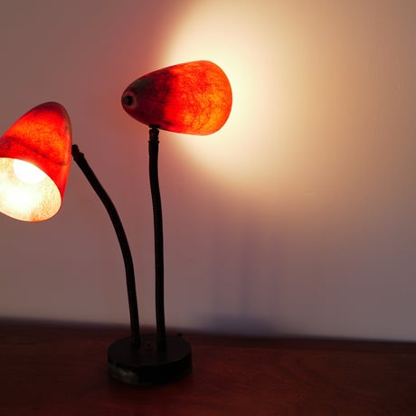 50sRed Fiber glass lamp  2