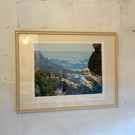 50s "The mountain" silkscreen