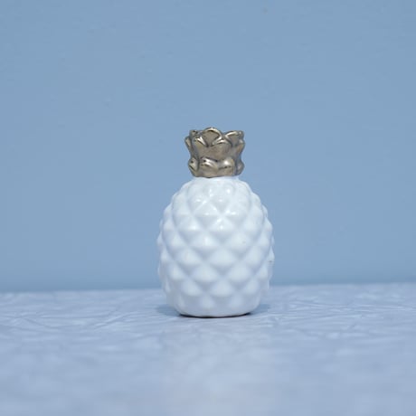 Pinapple salt or paper