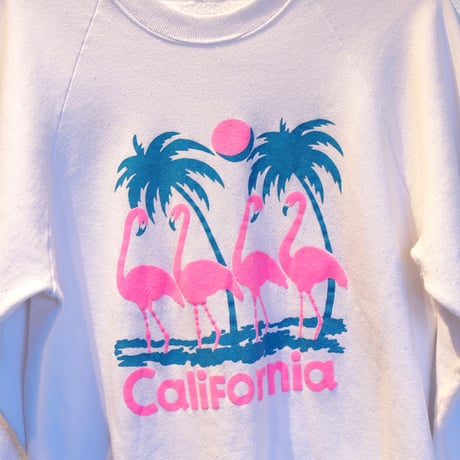 Carifornia flamingos