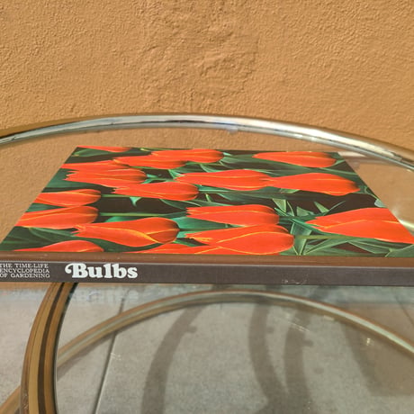 Bulbs