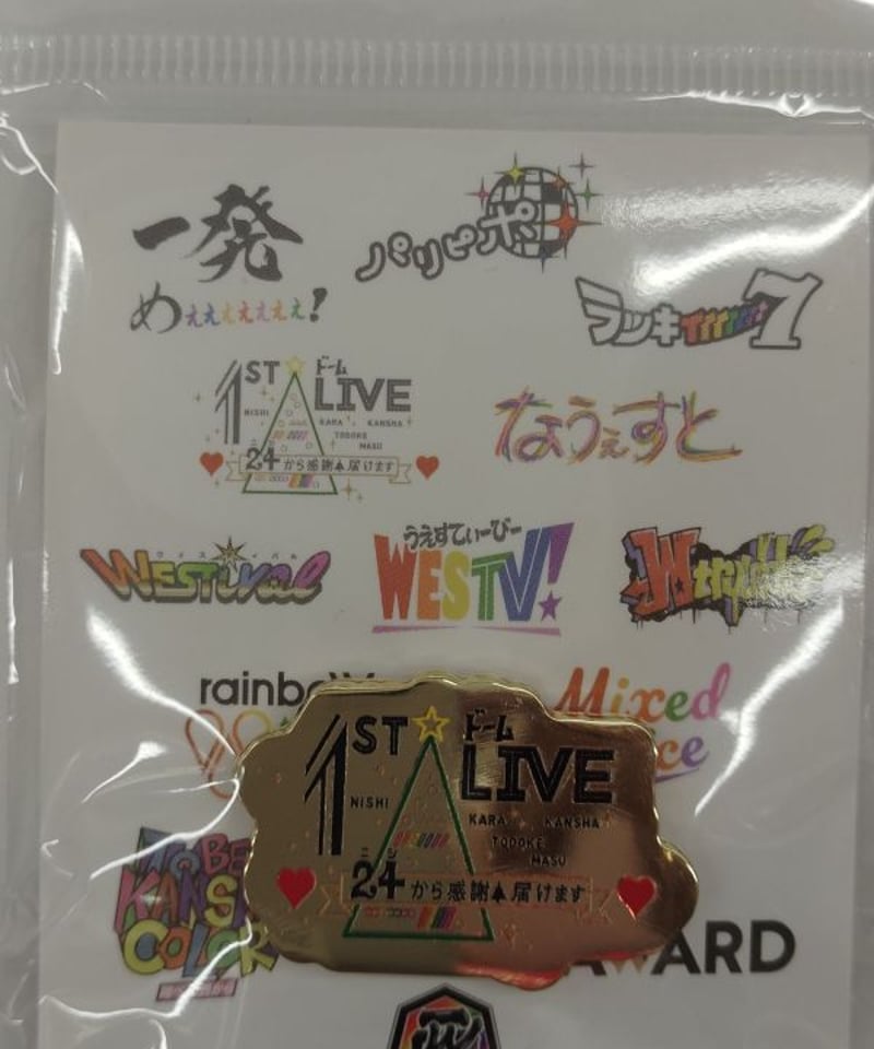 WEST. 10周年記念展 関西七色男大祭り ピンバッジ 全種類セット