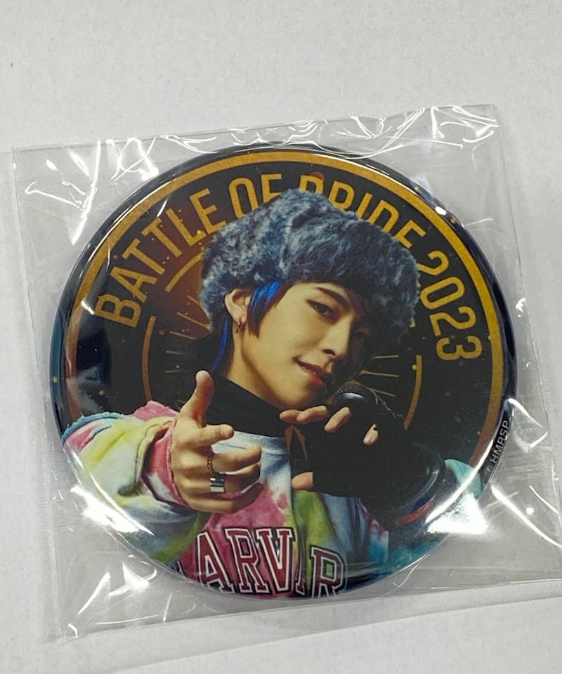 BOP2023 BluRay 円盤購入特典 D4 阿久根燐童 缶バッジ BOP2023 BluRay 円盤購入特典 D4 阿久根燐童 缶バッジ
