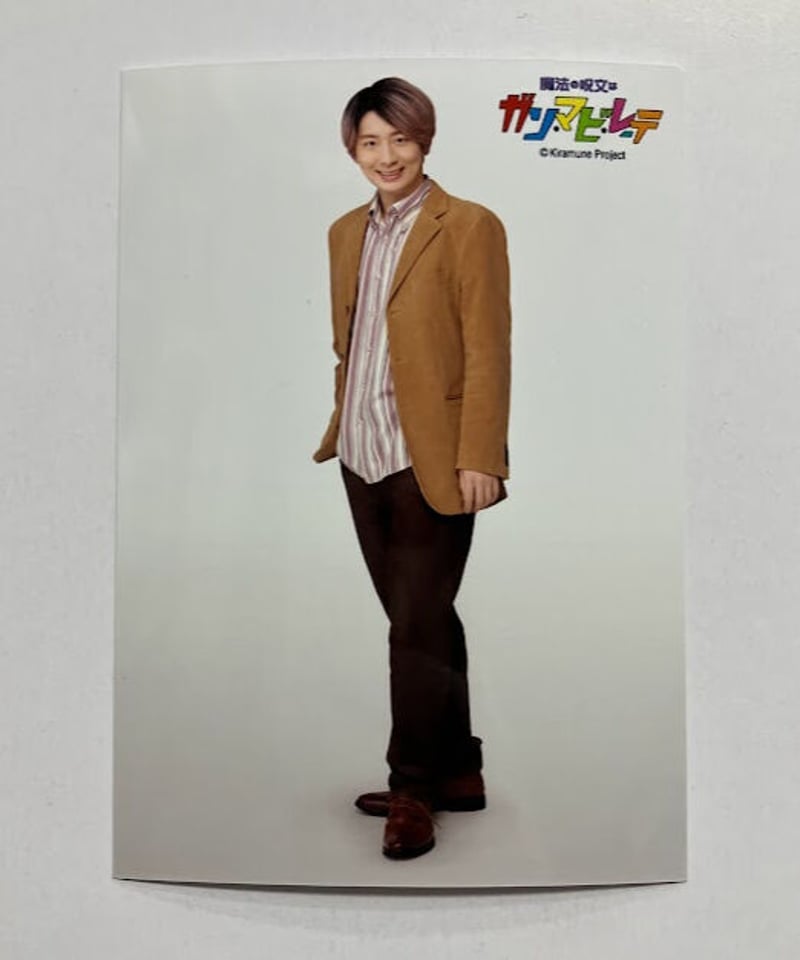 リーライ ガンマビレーテ 木村良平 ブロマイド 76枚セット リーライ