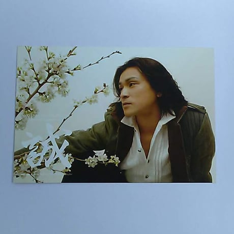 BLEACH 当選品 マンガボックス 直筆サイン入り 森田成一 【公式通販】