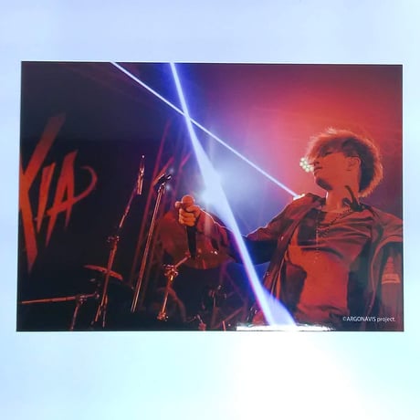 アルゴナビス | STORES