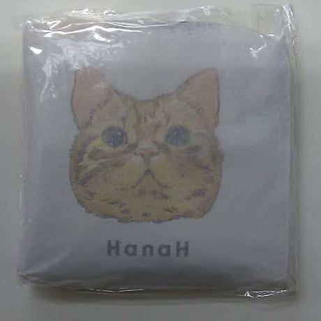 【未開封】 花江夏樹 HanaH KONPEI MINI WALLET ミニウォレット [WHITE]