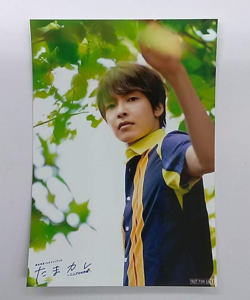 みんあい　ブロマイド24枚　パンフレット2冊　田丸篤志 みんあい ブロマイド24枚 パンフレット2冊 田丸篤志 みんあい