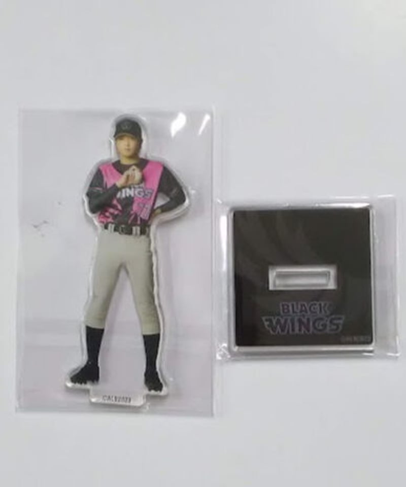 廣野凌大 サイン入り チェキ 【公式通販】
