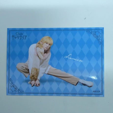 STORES キャッテリアの検索結果