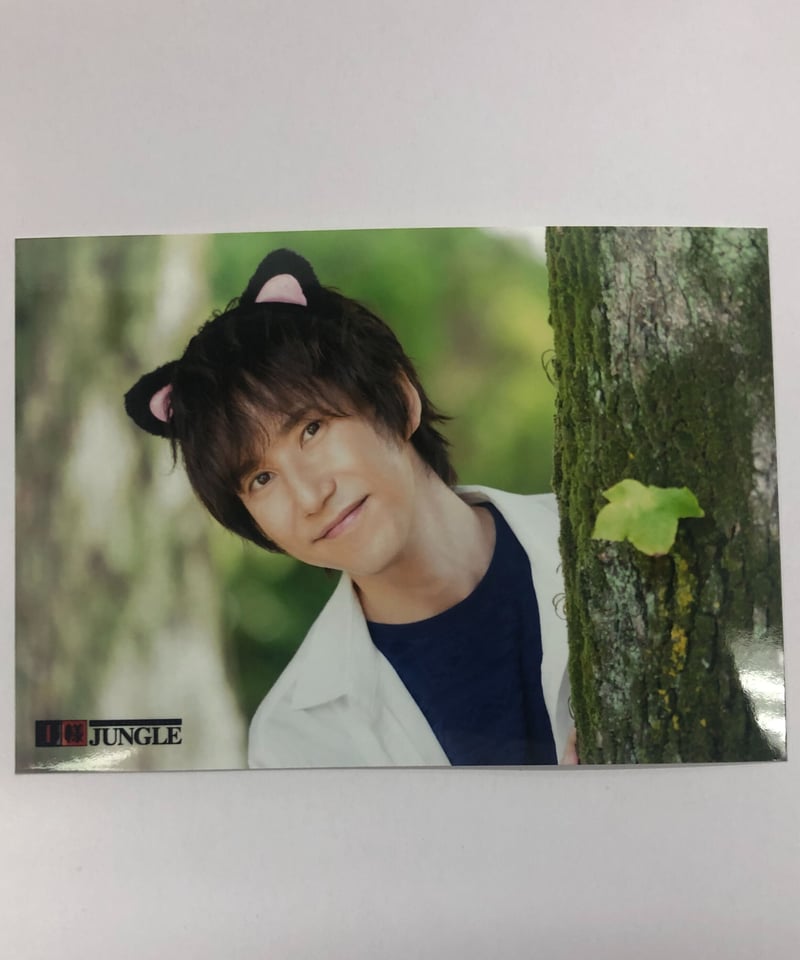 平川大輔 第231回 王様ジャングル ブロマイド③ | K-BOOKS K-POP館 アイ