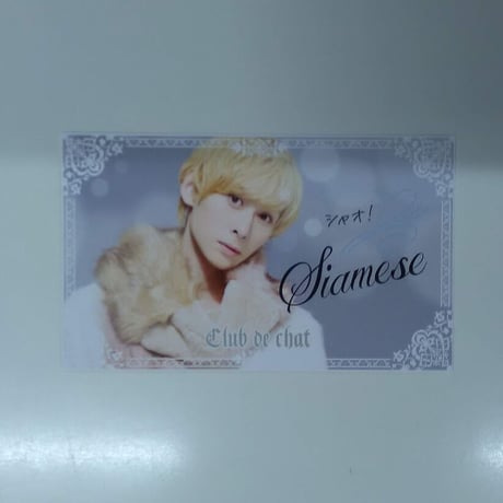 キャッテリア | STORES