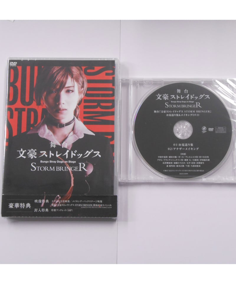 舞台　文豪ストレイドッグス DVD舞台 STORM BRINGER 特典完備 舞台 文豪ストレイドッグス DVD舞台 STORM BRINGER 特典完備 DVD