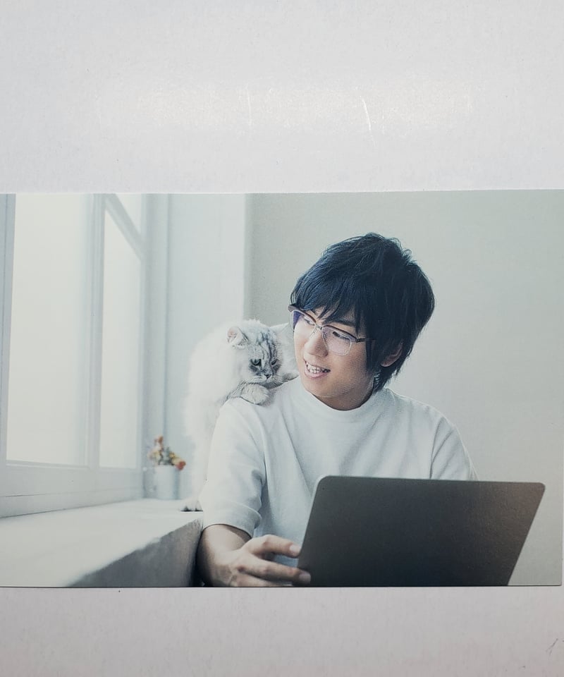 山下大輝 きみとぼくと。 声優男子×ねこ 初回購入特典 ポストカード