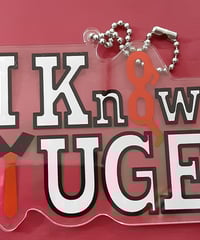 キズ有】〇〇の主役は我々だ！ ひとらんらん 祭りの主役は我々だ