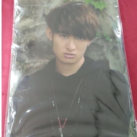 SnowMan向井康ニクリアファイル