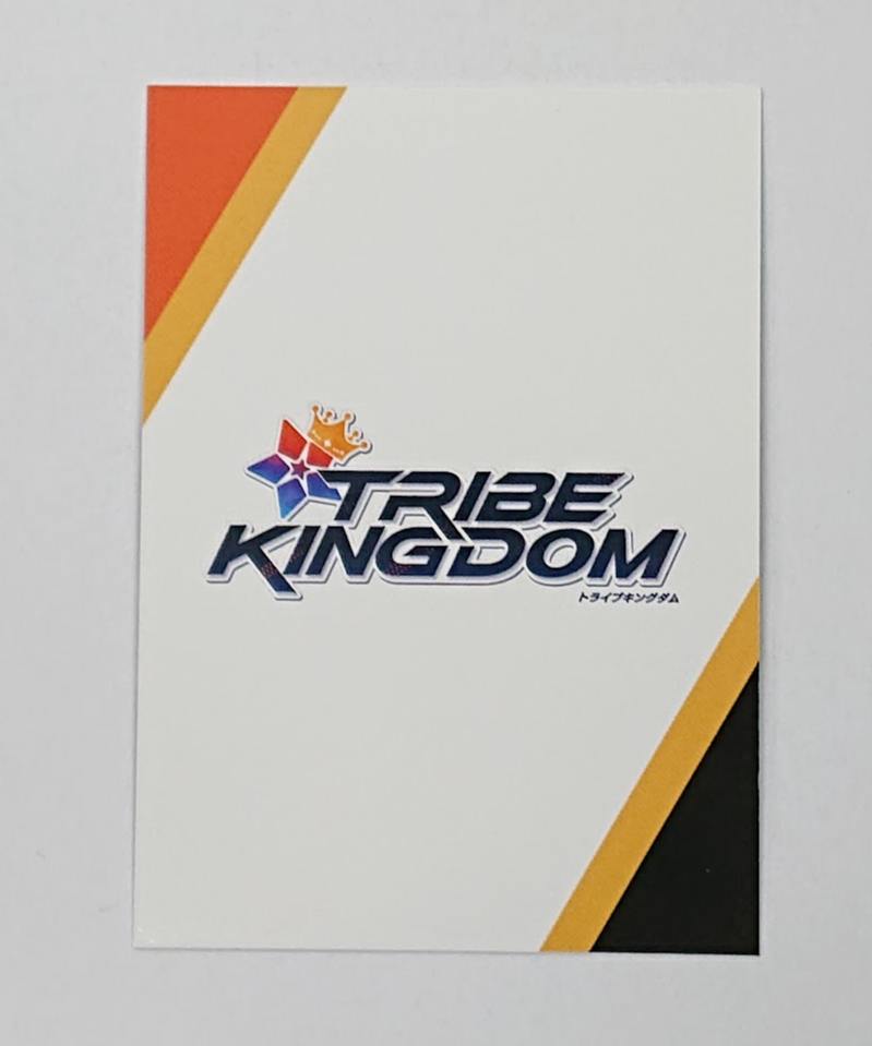 TRIBE KINGDOM ビジュアルカード スーツ FANTASTICS 中島颯太 ③