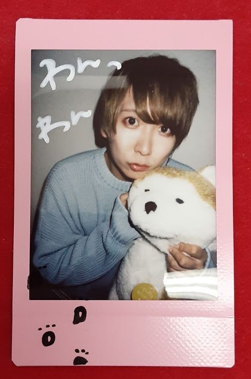 ちょこぼ ベアードアード いりぽん ぱんめん こぬ え〜すけ チェキ61枚 ちょこぼ ベアードアード いりぽん ぱんめん こぬ え〜すけ