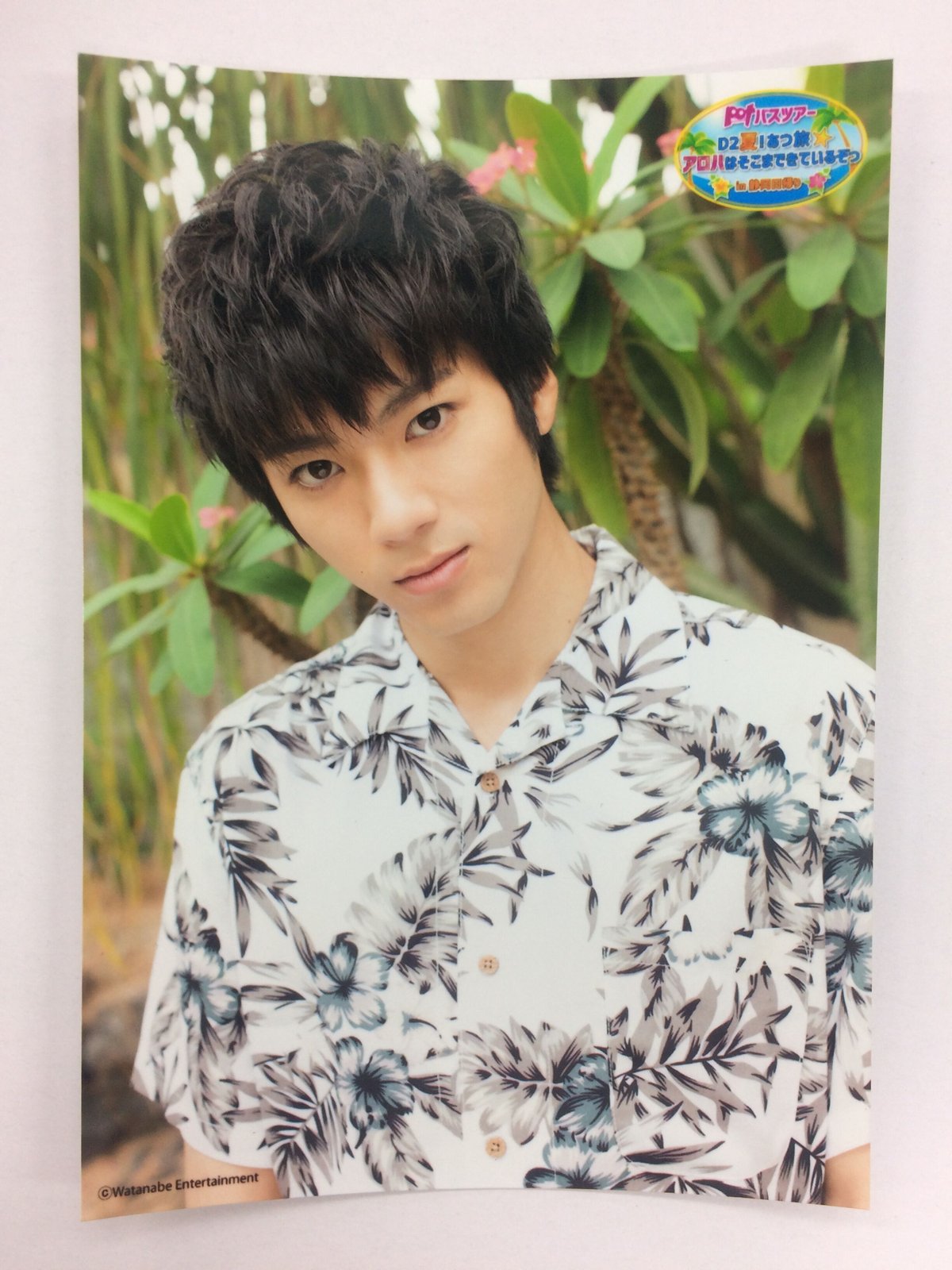 山田裕貴 ブロマイド写真 64枚 山田裕貴 p.o.tバスツアー ブロマイド | K-BOOKS K-POP館