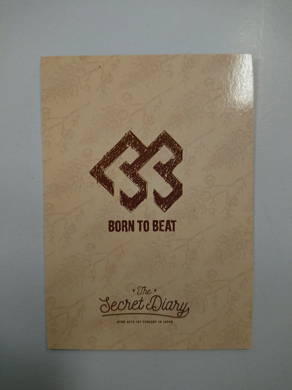 BTOB 【The Secret Diary】公式 コンサートLIVE DVD - DVD/ブルーレイ