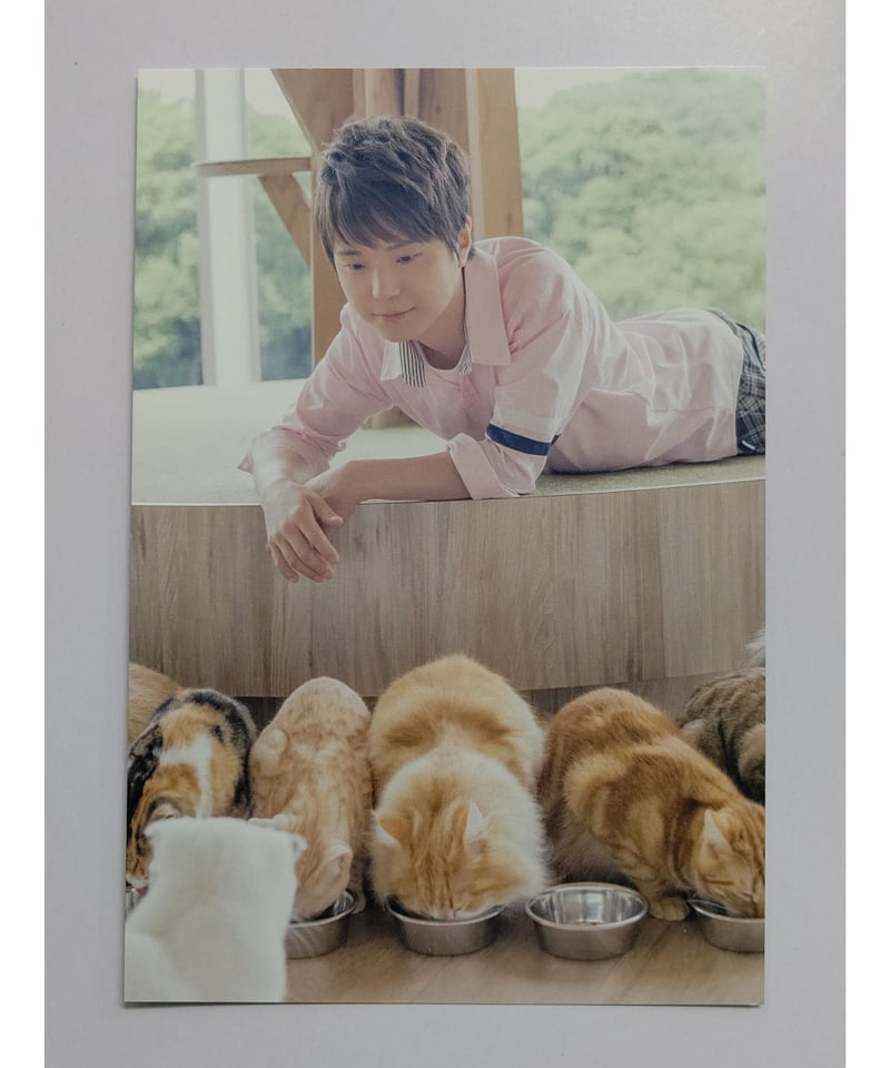 君と僕。 ポストカード きみとぼく 君と僕。 ポストカード きみとぼく