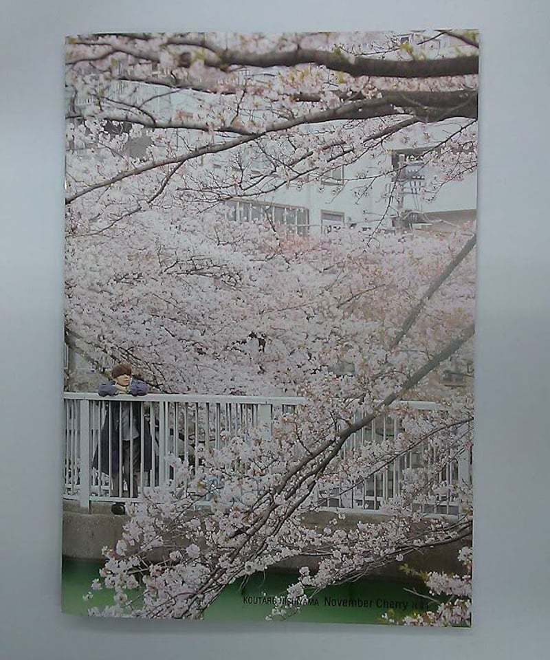 西山宏太朗 写真展 N ZINE November Cherry | K-BOOKS K-P 西山宏太朗 写真展 N ZINE November Cherry | K-BOOKS K-P