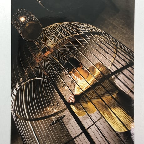 花江夏樹 王様ジャングル ブロマイド ②