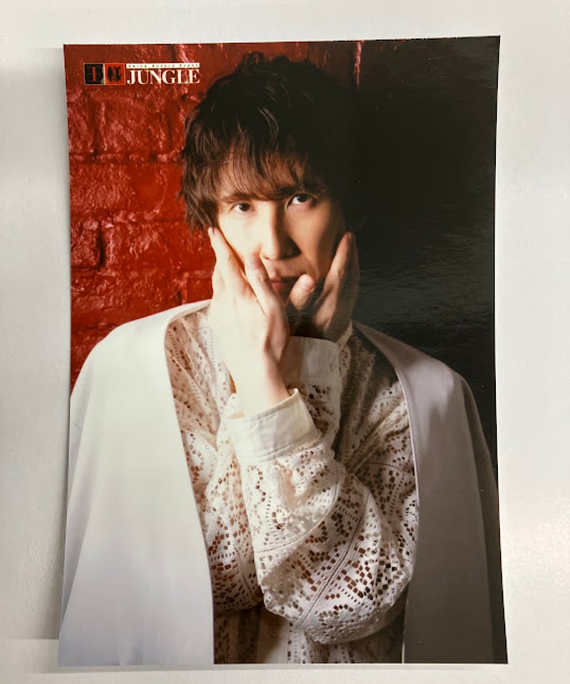 平川大輔 ひらかわんち 王様ジャングル 王ジャン セット 写真集 平川大輔 ひらかわんち 王様ジャングル 王ジャン セット 写真集