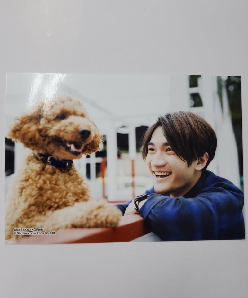熊谷健太郎 あまたか×恋ナン ブロマイド① | K-BOOKS K-POP館 アイドル