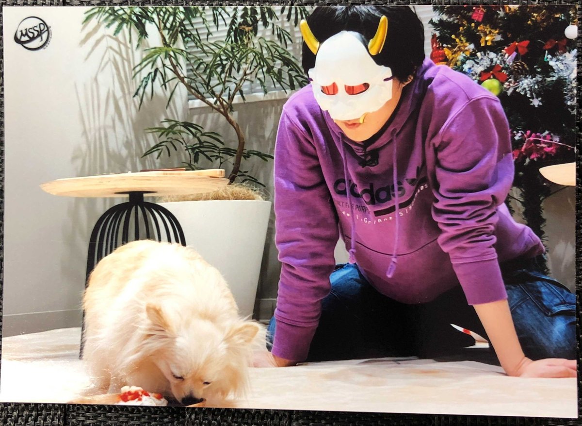 M.S.S Project あろまほっと ブロマイド | K-BOOKS K-POP館 アイ