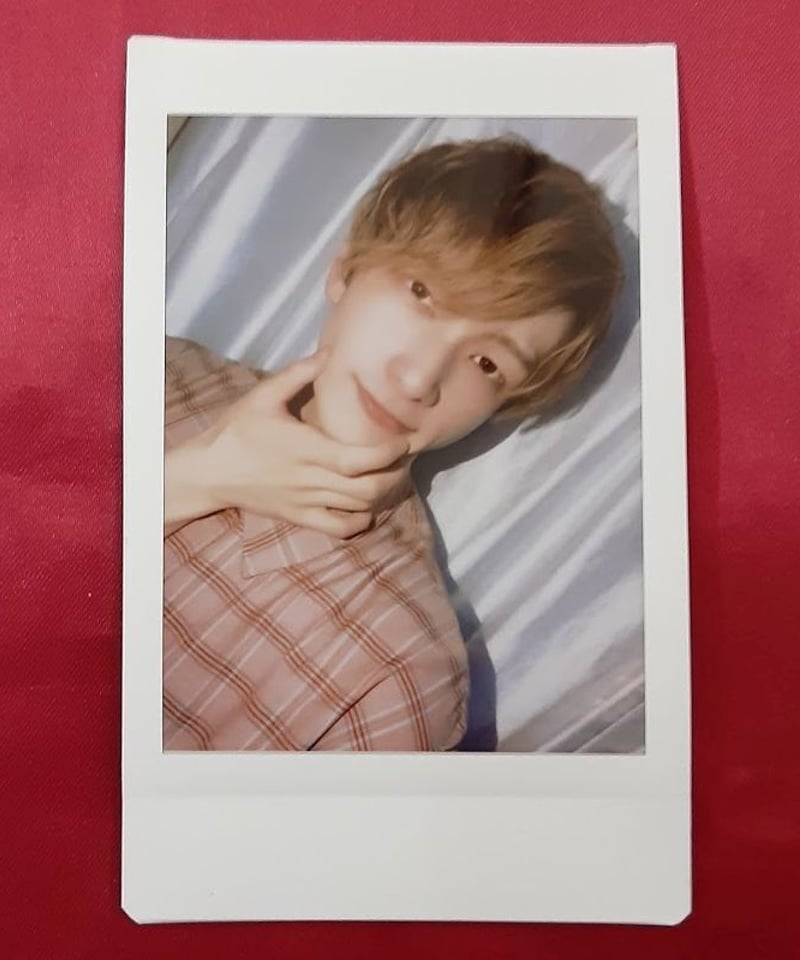 パンダドラゴン ようた チェキ | K-BOOKS K-POP館 アイドル館 動画館