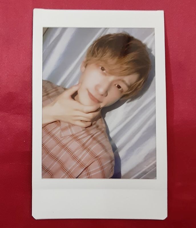 パンダドラゴン ようた チェキ | K-BOOKS K-POP館 アイドル館 動画館